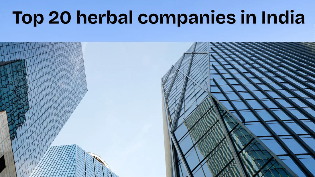 Top-20-Herbal-and-Ayurvedic-Companies-in-India-2025-List My Store