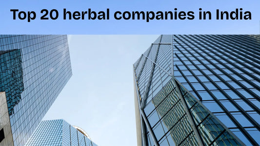 Top-20-Herbal-and-Ayurvedic-Companies-in-India-2025-List My Store