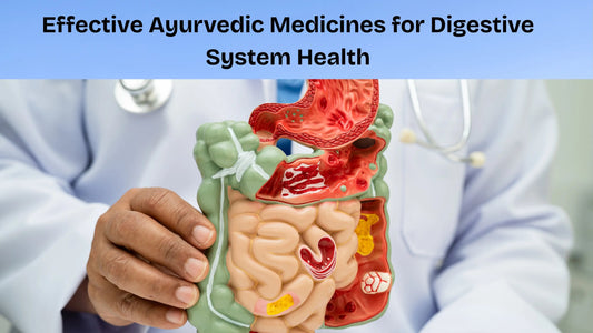 Effective-Ayurvedic-Medicines-for-Digestive-System-Health My Store