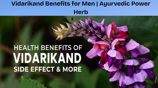 Vidarikand-Benefits-for-Men-Ayurvedic-Power-Herb MedMeds