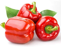 Capsicum Annuum