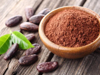 Cocoa Seeds Extract
