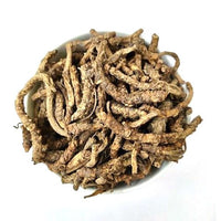 Picrorhiza Kurroa Extrac