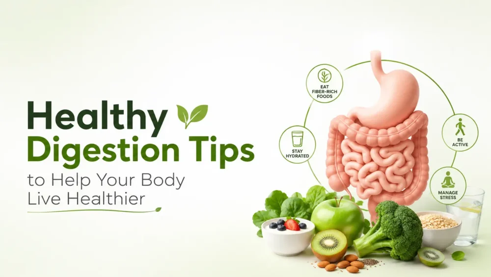Healthy Digestion Tips to Help Your Body Live Healthier