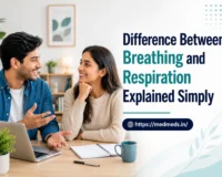 Difference Between Breathing and Respiration