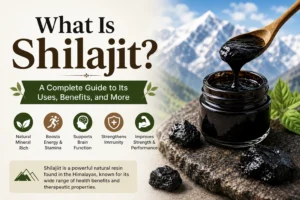 what is shilajit