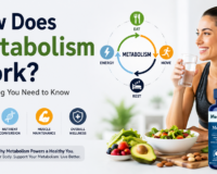 How Does Metabolism Work? Everything You Need to Know