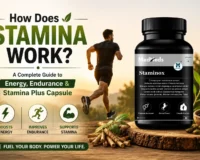 how does stamina work