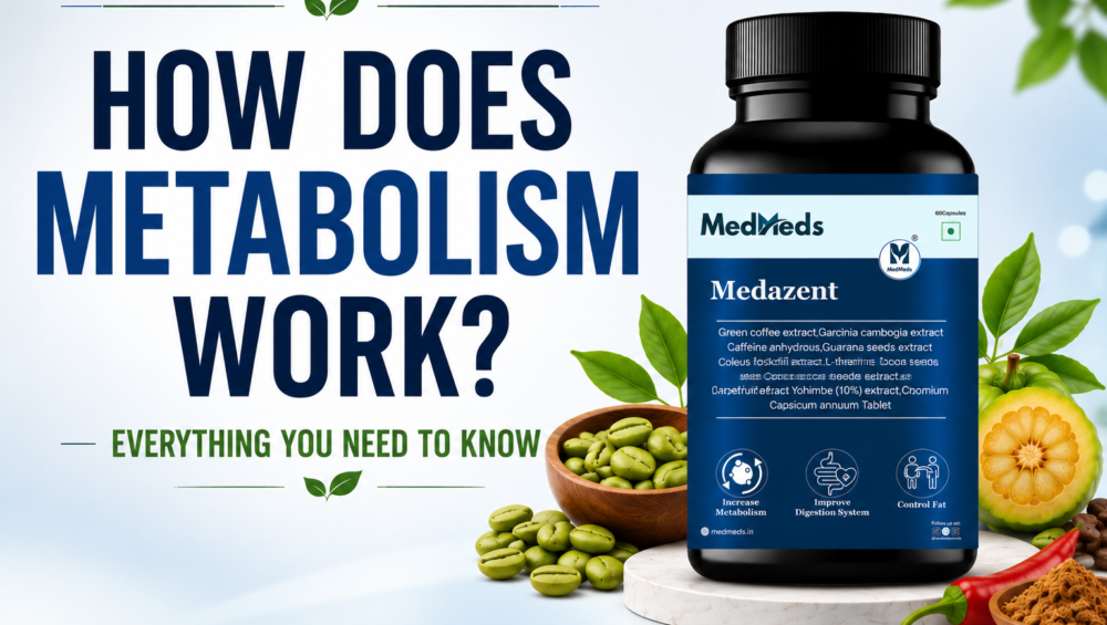 how does metabolism work
