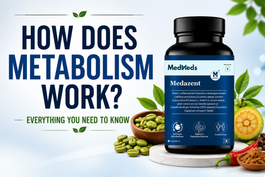 how does metabolism work