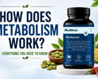 how does metabolism work