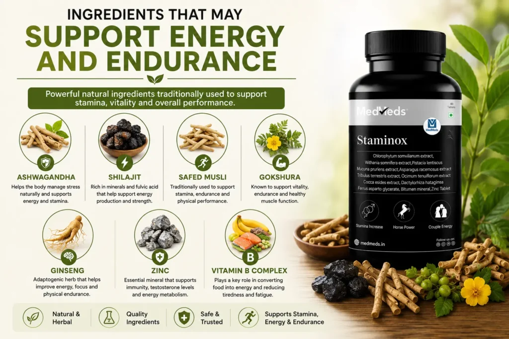 ingredients-that-support-energy-and-endurance.
